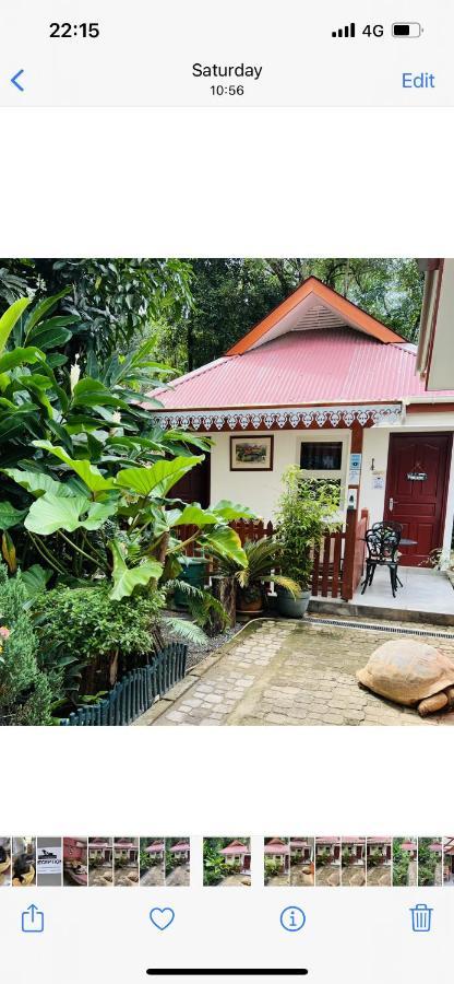 Garden Hut Apartman Victoria Kültér fotó